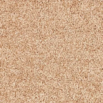 Vorwerk Teppichboden Conzano 8L92 pfirsich – Teppichboden in zartem Pfirsichton, warm und leicht, Meterware in 4 oder 5 m Breite, nur 53,91 €